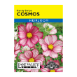 COSMOS CANDY STRIPE HEIRL