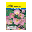 EVENING PRIMROSE MEXICAN HEIRL