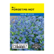 FORGET-ME-NOT BLUE HEIRL