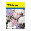 LACE FLOWER KEEPSAKE MIX