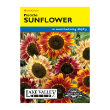 SUNFLOWER PASTICHE