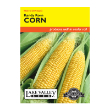 CORN SWEET KANDY KORN HYBRID