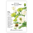ZINNIA KEY LIME PIE MIX