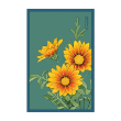 GAZANIA FLOWER