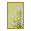 CHAMOMILE FLOWER