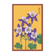 COLUMBINE FLOWER