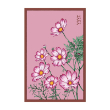 COSMOS FLOWER