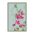 SWEET PEA FLOWER