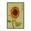 RED SUNFLOWER FLOWER