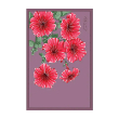 TRAILING PETUNIA FLOWER