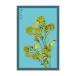 WATERCRESS HERB