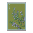 ROSEMARY HERB