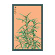 TARRAGON HERB