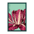 RADICCHIO VEG