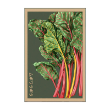 RAINBOW CHARD VEG
