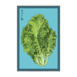 MUSTARD GREENS VEG