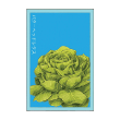 BUTTERHEAD LETTUCE VEG