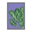 KALE VEG