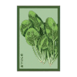 SPINACH VEG
