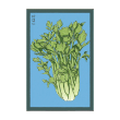 CELERY VEG