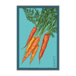 CARROT VEG