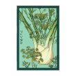 FENNEL VEG