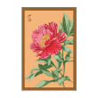 PEONY