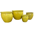 VAGA PLNTR  LG YELLOW