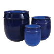ORION PLNTR LG COLBALT BLUE