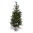 48" LED PINE TREE IN TIN POT