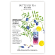 BUTTERFLY PEA BLUE TEA