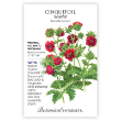 CINQUEFOIL SCARLET