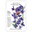 SWEET PEA MAMMOTH NAVY BLUE