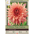 DAHLIA FAIRWAY SPUR