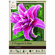 LILY ROSELILY THALITA