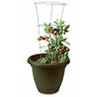 TOMATO CAGE 33"