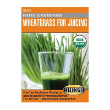 WHEATGRASS FOR JUICING ORGANIC