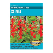 SALVIA BUTTERFLY SCARLET SAGE