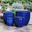 PLNTR LG NO DCR FLL BLUE 19X19