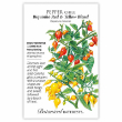 PEPPER CHILE BIQUINHO RED/YELLOW