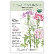 CLEOME FOUNTAIN BLEND ORG