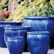 PLNTR FSHBWL BLS BLU 25.5"X19.5"