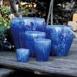 PLNTR VCTR AGAVE BLU 25"X24"
