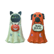 LIGHT UP RES PET FIG 2/A