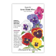 PANSY SWISS GIANTS BLEND