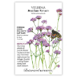 VERBENA BRAZILIAN VERBAIN