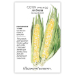 CORN SWEET BICOLOR AMBROSIA