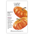 Pumpkin French Cinderella