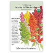 Quinoa Brightest Rainbow Org