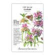 Bee Balm Lambada